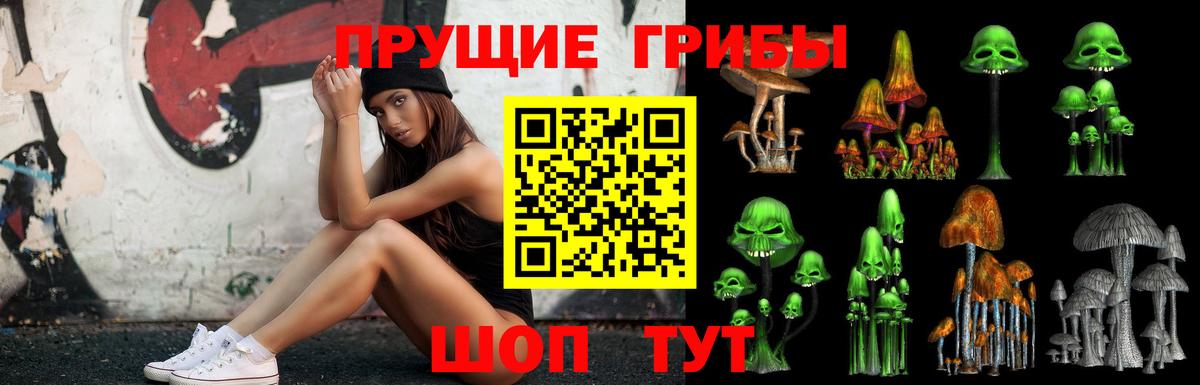 Ливны  дарнет шоп  Вход с VPN  Галлюциногенные грибы ЛСД 