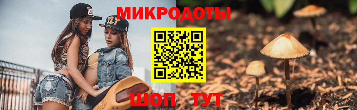 Псилоцибиновые грибы прущие грибы Ливны